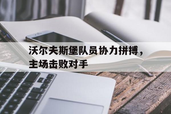 爱游戏-沃尔夫斯堡队员协力拼搏，主场击败对手的简单介绍